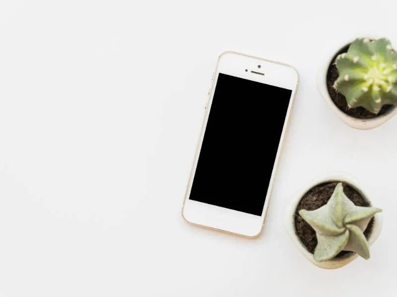 free-iphone-6s-government-phone