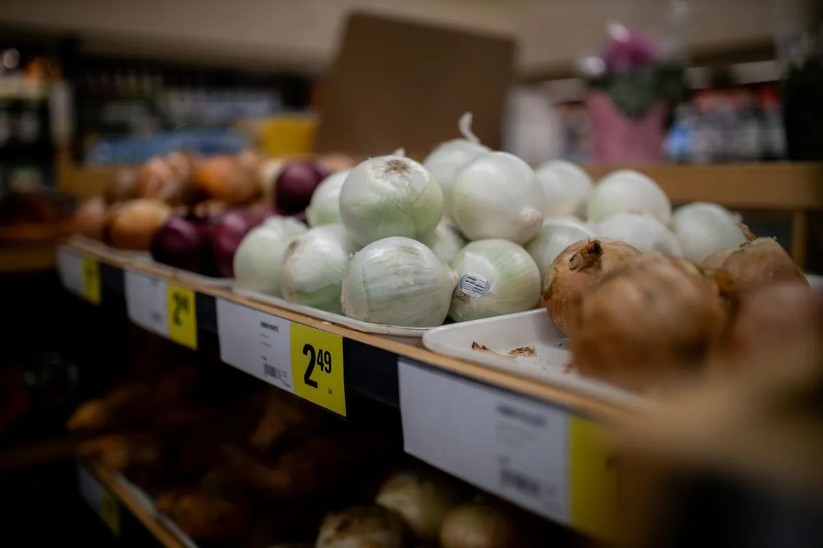 20+ Surprising Things You Can Buy With EBT in 2026
