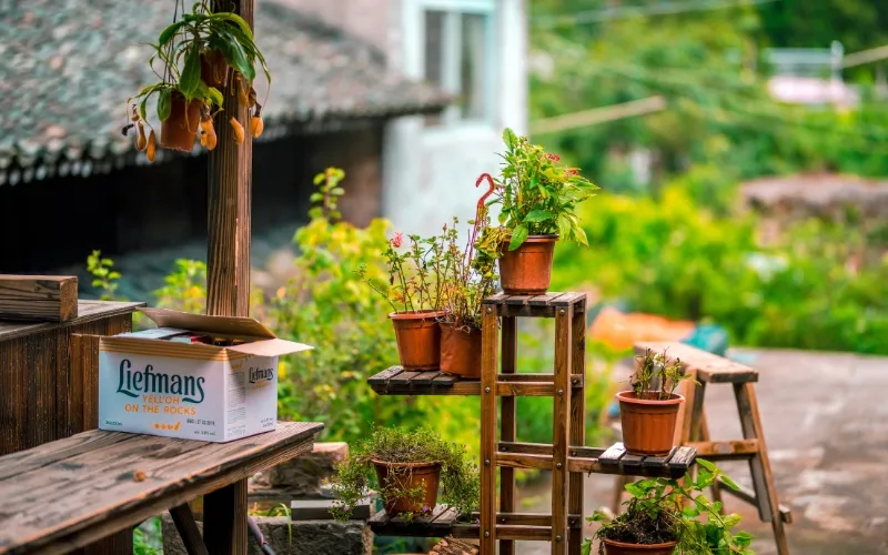unique-gift-for-mother-in-law-garden-kit