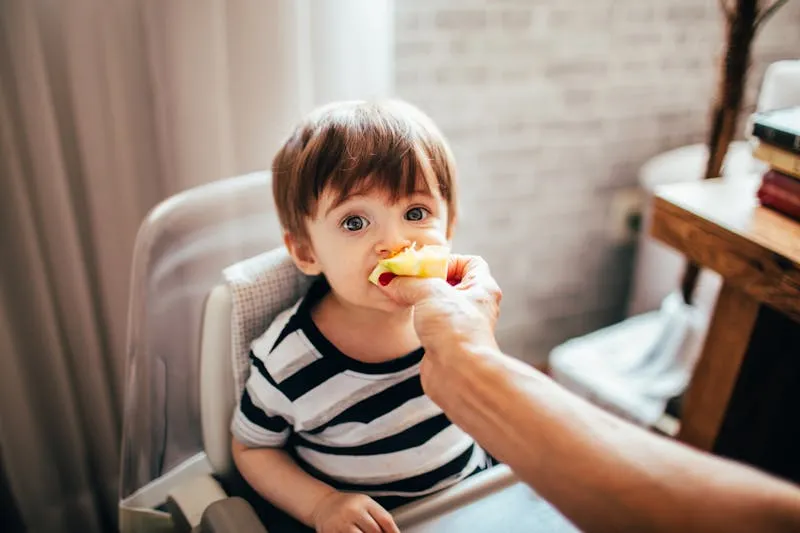 what can you get with wic