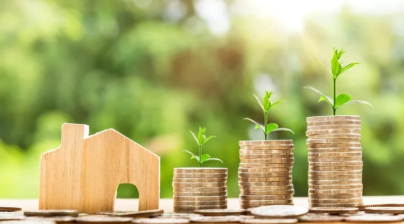 What is considered low income for a single person in Texas?