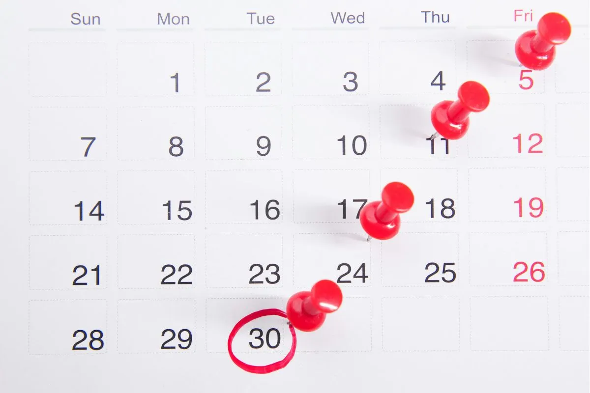 When Does EBT Reload? SNAP Deposit Schedules & Balance Updates