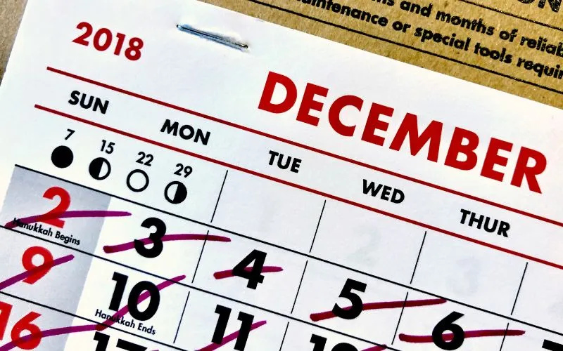 when-does-ebt-reload-the-timeline