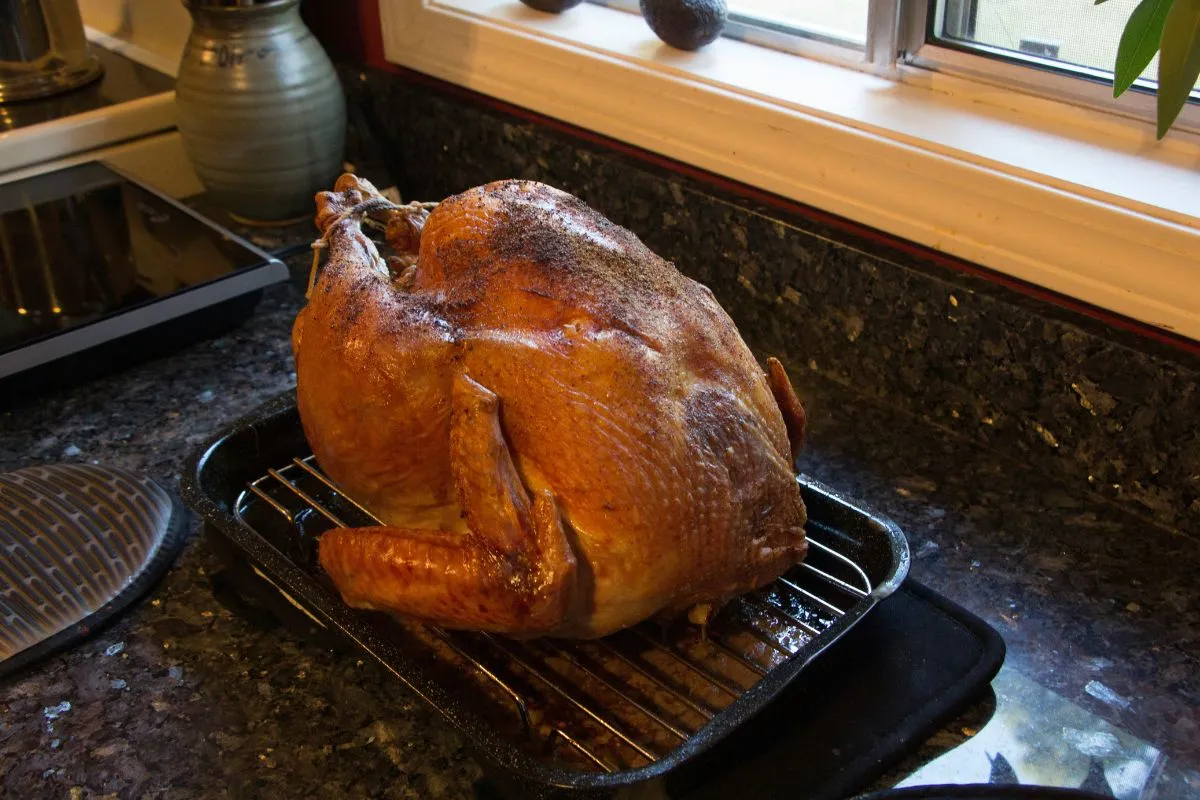Where Can I Get a Free Turkey Today? Local Turkey Giveaways & Assistance
