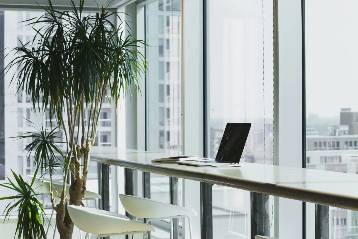 WIC Office Near Me: How to Find Local WIC and Get Help Fast